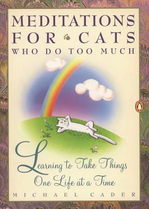 Cover of the book Meditations for Cats Who Do Too Much by Kate Parker