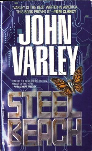 Cover of the book Steel Beach by J.A. Dalley