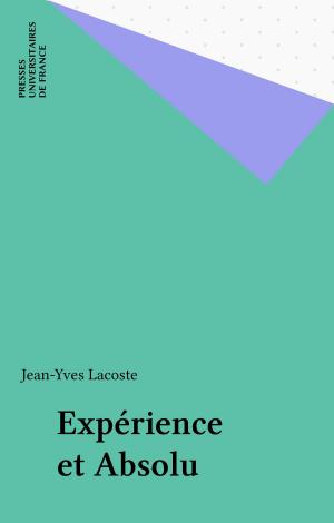 Cover of the book Expérience et Absolu by Sandra Costa, Thierry Dufrêne, Paul Angoulvent, Anne-Laure Angoulvent-Michel