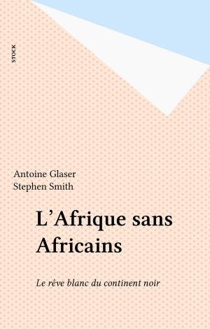 Cover of the book L'Afrique sans Africains by Madeleine Chapsal