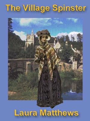 Book cover of The Village Spinster