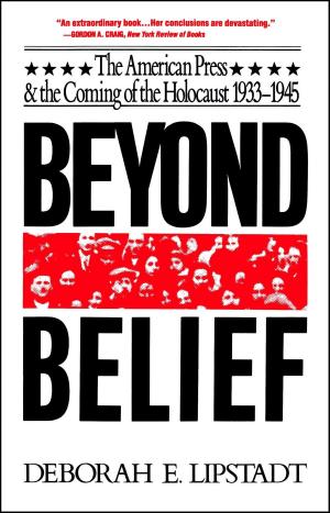 Cover of the book Beyond Belief by Blu Greenberg