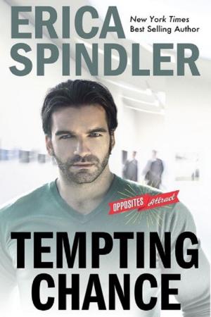 Book cover of Tempting Chance