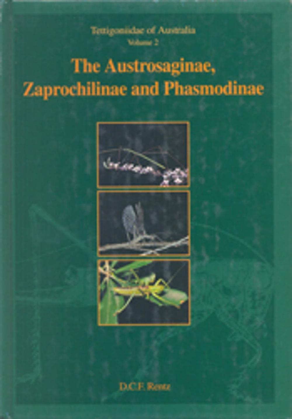 Big bigCover of Tettigoniidae of Australia Volume 2