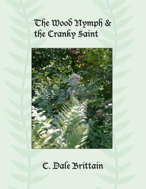 Cover of The Wood Nymph and the Cranky Saint