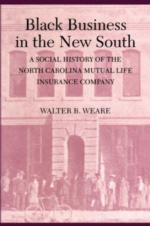 Cover of the book Black Business in the New South by 