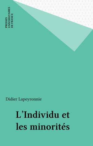 Cover of the book L'Individu et les minorités by Gérald Sfez, Michel Senellart