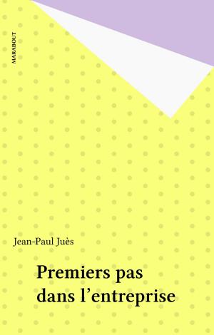 Cover of the book Premiers pas dans l'entreprise by Olivier Mazel, Jean-Claude Grimal, Alain Lebaube