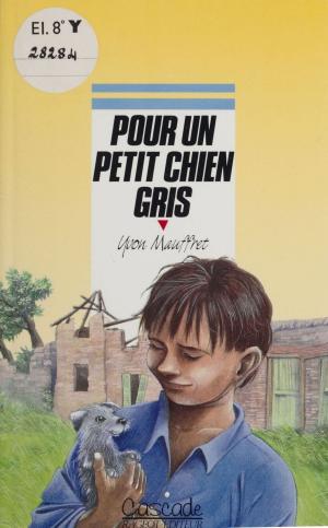 Cover of the book Pour un petit chien gris by Roger Judenne