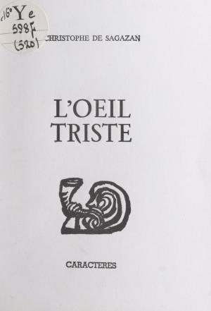 Cover of the book L'œil triste by Jacqueline Zorlu, Henri Mitterand