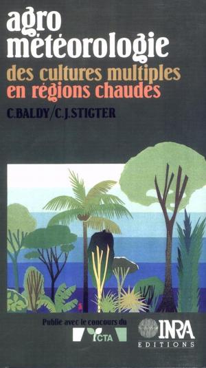 Cover of the book Agrométéorologie des cultures multiples en régions chaudes by Charles-Henri Moulin, Renaud Lancelot, Matthieu Lesnoff