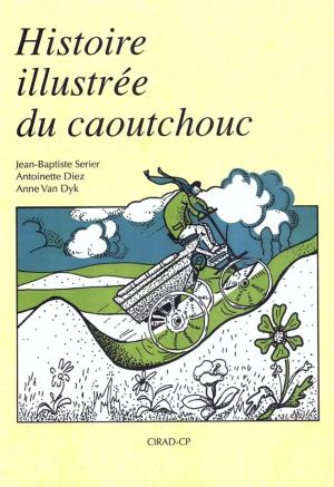 Book cover of Histoire illustrée du caoutchouc