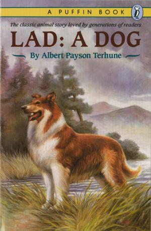 Cover of the book Lad by Edith Andersen
