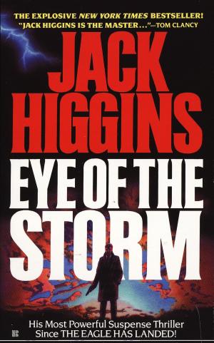 Cover of the book Eye of the Storm by Stephanie Dowrick