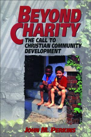 Cover of the book Beyond Charity by Richard S. Hess