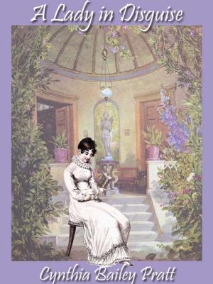 Cover of the book A Lady in Disguise by Joan Smith