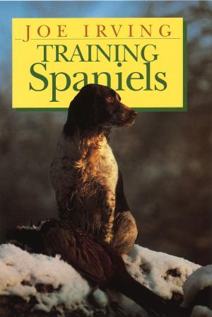Cover of the book Training Spaniels by Christina Sondermann