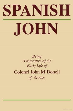 Cover of the book Spanish John by Dave Butler