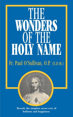 Cover of the book The Wonders of the Holy Name by Paul Lehr