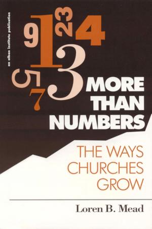 Cover of the book More Than Numbers by Anne Davis, Ewa McGrail