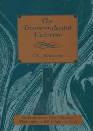 Book cover of The Transcendental Universe