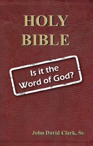 Cover of the book Holy Bible: Is it the Word of God? by David  A. Vosburg, Kate Vosburg