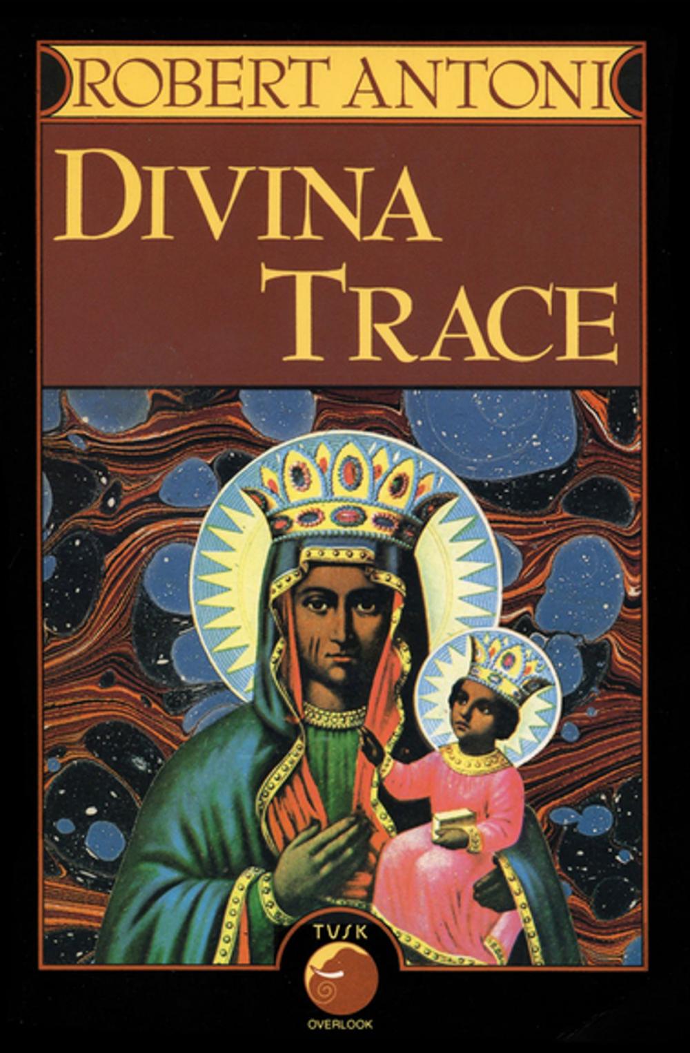 Big bigCover of Divina Trace