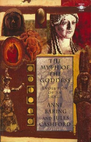 Cover of the book The Myth of the Goddess by Niall Brady