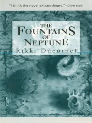 Cover of the book The Fountains of Neptune by Edouard LevÃ©