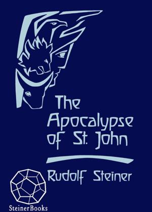 Cover of the book The Apocalypse of St. John by Vladimir Solovyov