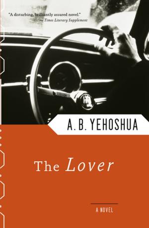 Cover of the book The Lover by Juan Gómez Bárcena
