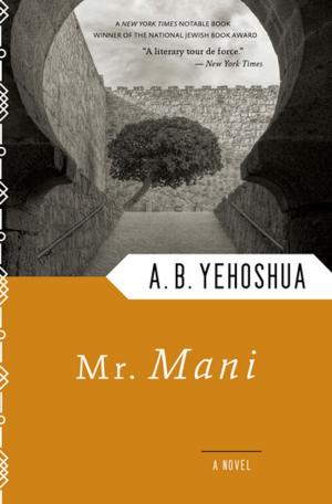 Book cover of Mr. Mani
