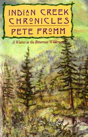Cover of the book Indian Creek Chronicles by George Feifer