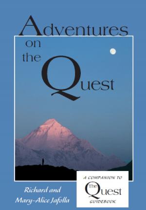Cover of the book Adventures on the Quest by Rocco A. Errico