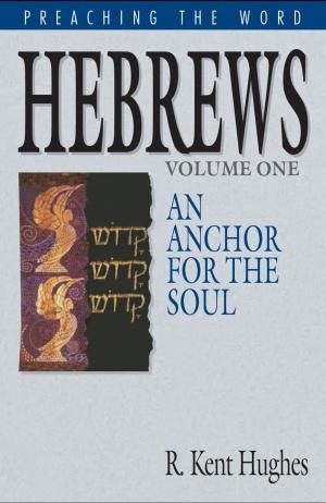 Cover of the book Hebrews: An Anchor for the Soul by Stephen J. Nichols, Noël Piper, J. I. Packer, Donald S. Whitney, Mark Dever, Paul Helm, Sam Storms, Mark Talbot, Sherard Burns