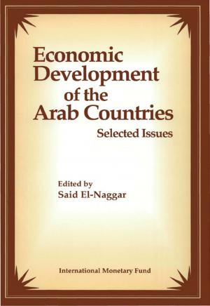 Cover of the book Economic Development of the Arab Countries: Selected Issues by 