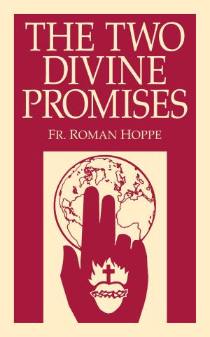 Cover of the book The Two Divine Promises by Robin Anderson