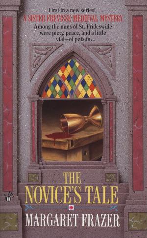 Cover of the book The Novice's Tale by Sanjay Patel