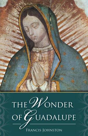 Cover of the book The Wonder of Guadalupe by 