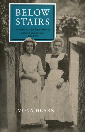 Cover of the book Below Stairs by Anne Haverty