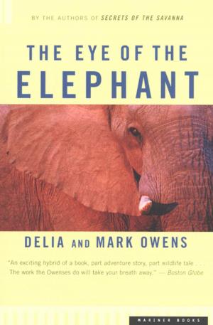 Book cover of The Eye of the Elephant