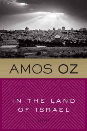 Cover of the book In the Land of Israel by Susan Van Kirk