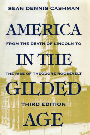 Cover of the book America in the Gilded Age by Jill Norgren
