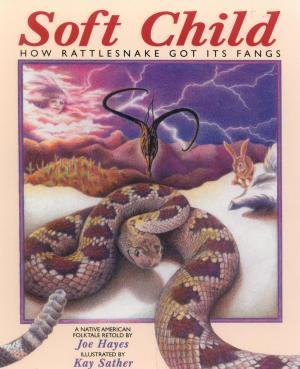 Cover of the book Soft Child by Diane M. Debinski, James Pritchard