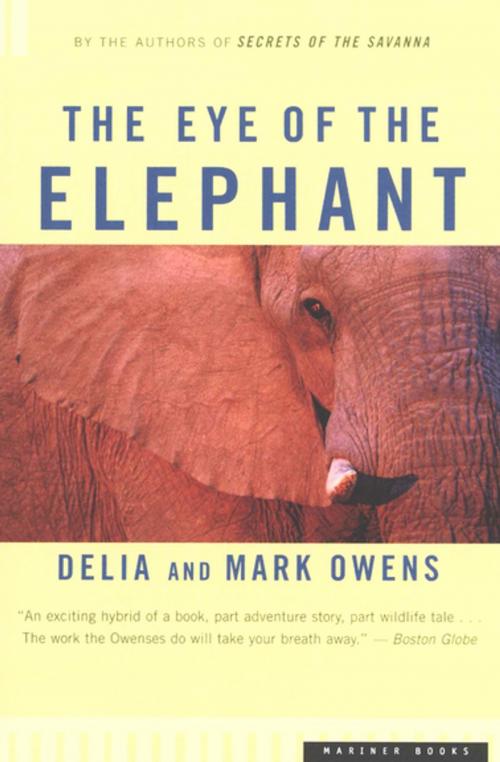 Cover of the book The Eye of the Elephant by Delia Owens, Mark Owens, Houghton Mifflin Harcourt