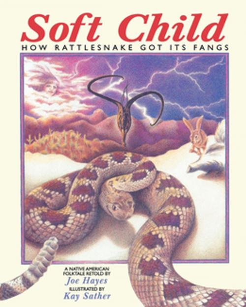 Cover of the book Soft Child by Joe Hayes, Roberts Rinehart