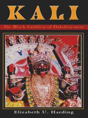 Cover of the book Kali by June Singer