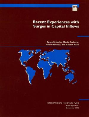 Cover of the book Recent Experiences with Surges in Capital Inflows by Ahsan Mansur, Edouard Mr. Maciejewski