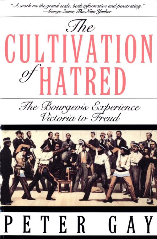 Cover of the book The Cultivation of Hatred: The Bourgeois Experience: Victoria to Freud (The Bourgeois Experience: Victoria to Freud) by Peter Gay, W. W. Norton & Company