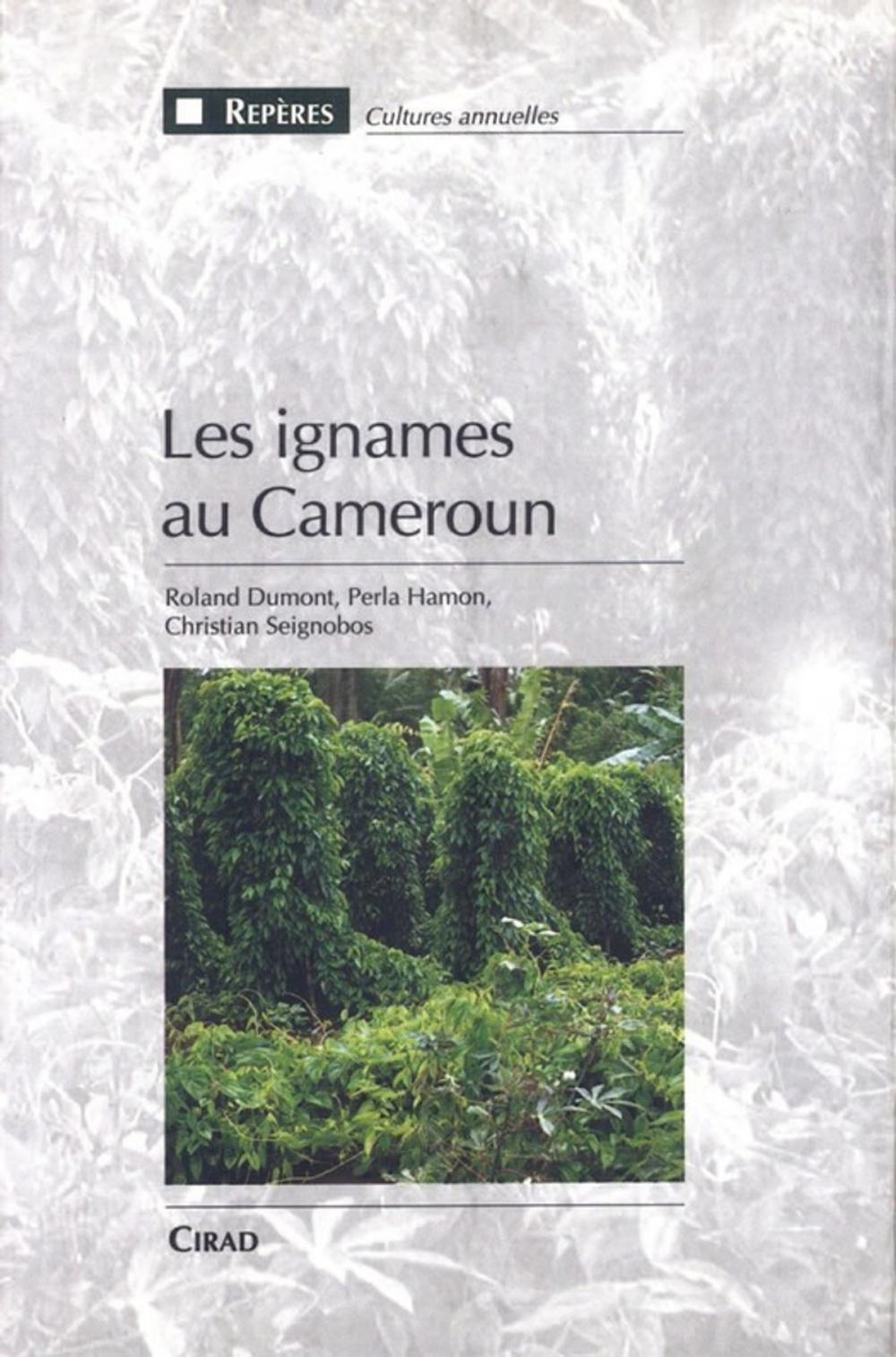 Big bigCover of Les ignames au Cameroun